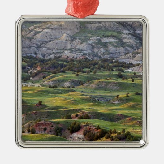 バック·ヒカラフルルの〜の荒地 メタルオーナメント (正面)