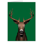 バック・ヘッド (正面)