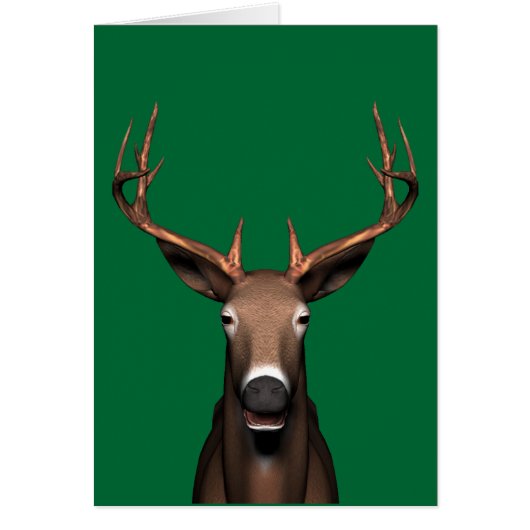 バック・ヘッド (正面)