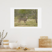 バック。 ポスター (キッチン)