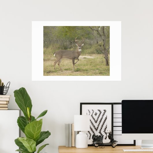 バック。 ポスター (ホームオフィス)