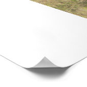 バック。 ポスター (角)