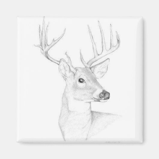 バック マグネット (正面)