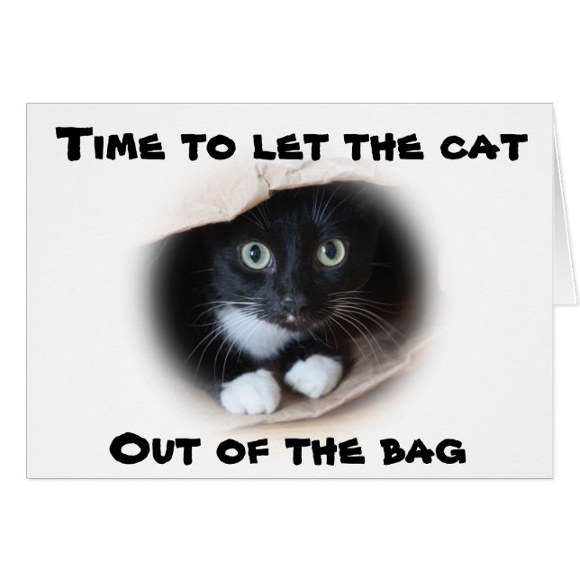 バッグの猫 (正面横)