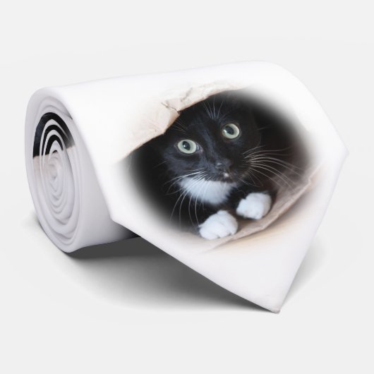 バッグの猫 ネクタイ (ロール)