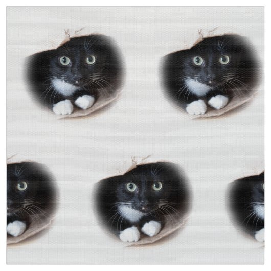 バッグの猫 ファブリック (見本)