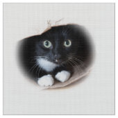 バッグの猫 ファブリック (クローズアップ)