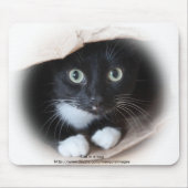 バッグの猫 マウスパッド (正面)