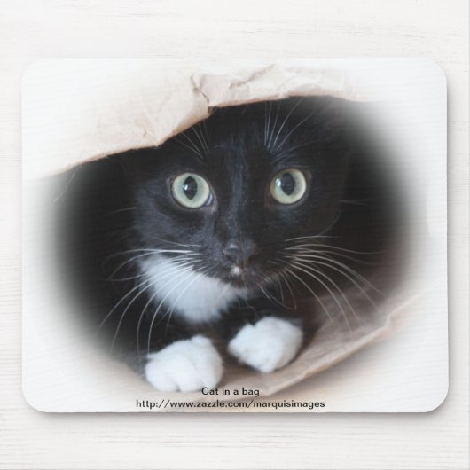 バッグの猫 マウスパッド (正面)
