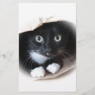 バッグの猫 便箋
