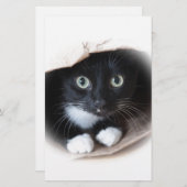 バッグの猫 便箋 (正面/裏面)