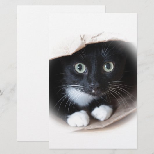 バッグの猫 便箋 (正面/裏面)