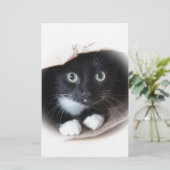 バッグの猫 便箋 (スタンド正面)