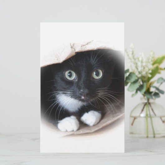 バッグの猫 便箋 (スタンド正面)