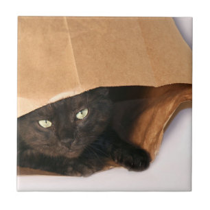 バッグの黒猫 タイル