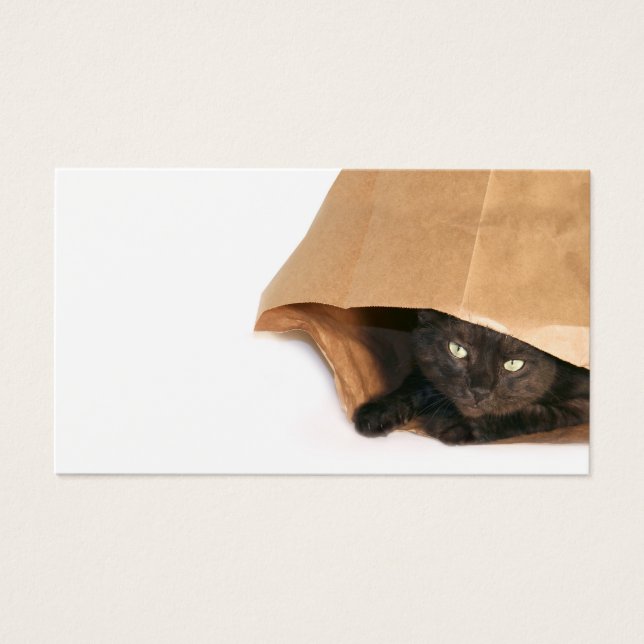 バッグプロファイルカード内の猫 (正面)