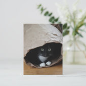 バッグ内の猫2 ポストカード (スタンド正面)