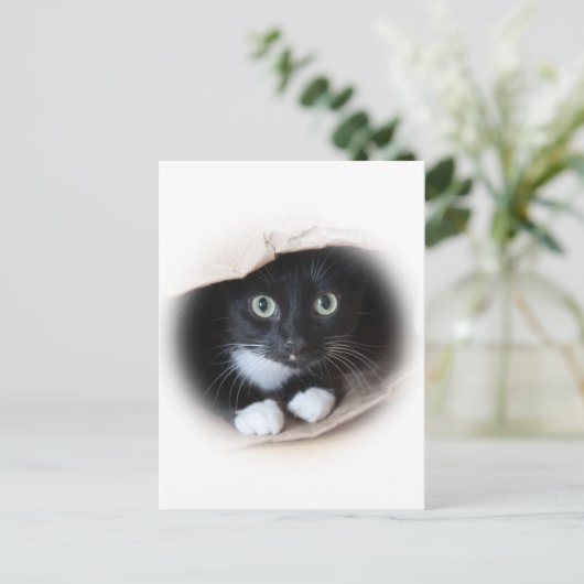 バッグ ポストカード (スタンド正面)