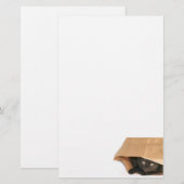 バッグ 便箋 (正面/裏面)