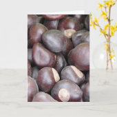 バッケー・ナッツ・マクロ写真 カード (黄色い花)