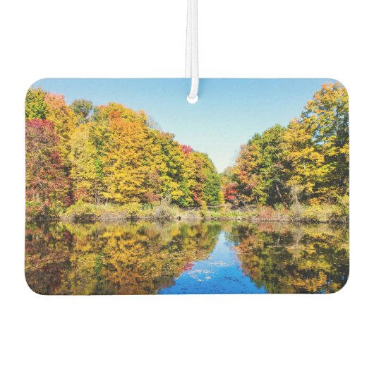 バッサーファームズ池 カーエアーフレッシュナー (正面)