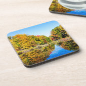 バッサーファームズ池 コースター (左側)