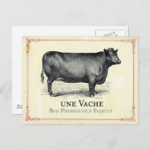 バッシュ牛 ポストカード (正面/裏面)