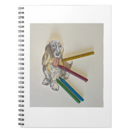 バッシーのノートブック ノートブック