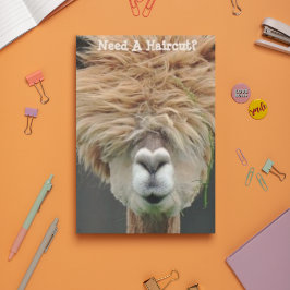 バッシーヘアブラウンラマ美容師 ポストカード