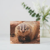 バッジャー シーズンポストカード (スタンド正面)