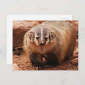 バッジャー シーズンポストカード (正面/裏面)