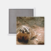 バッジャー マグネット (正面/裏面)