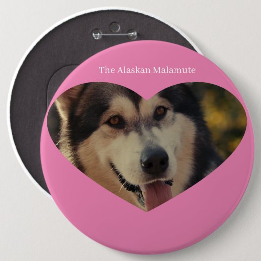 バッジ (正面&裏面)