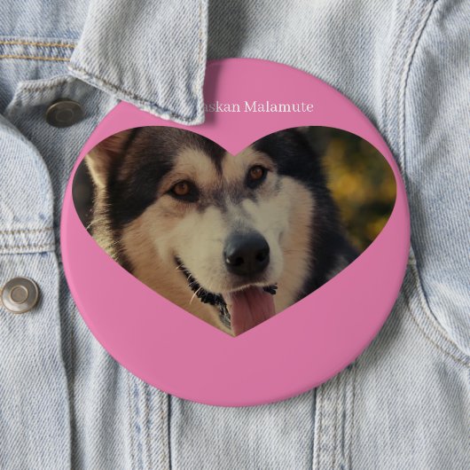 バッジ (インサイチュ)