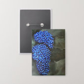 バッジ (正面/裏面)