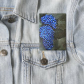 バッジ (インサイチュ)