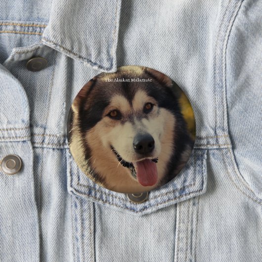 バッジ (インサイチュ)