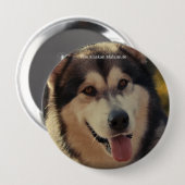 バッジ (正面&裏面)