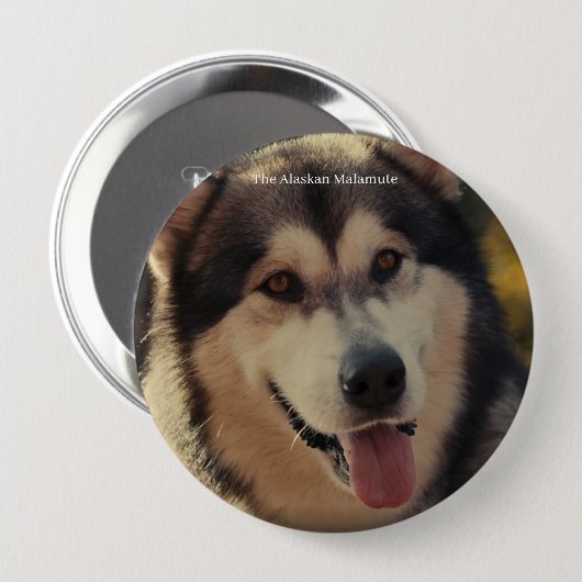 バッジ (正面&裏面)