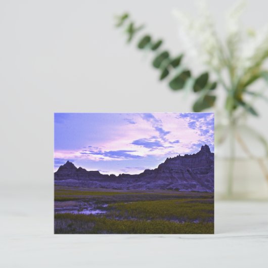 バッズランド ポストカード (スタンド正面)