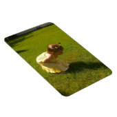 バッタか？ジンジャーリープレミアムフレキシ マグネット (右側)