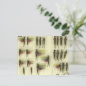 バッタが付いている郵便はがき ポストカード (スタンド正面)