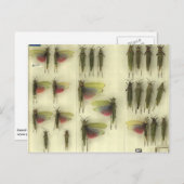 バッタが付いている郵便はがき ポストカード (正面/裏面)