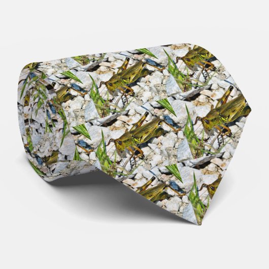 バッタの昆虫 ネクタイ (ロール)