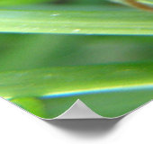 バッタプリント ポスター (角)