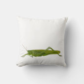 バッタ又は早馬レトロの防虫動物ギフト クッション (正面)