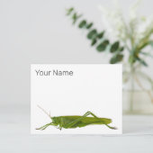 バッタ又は早馬レトロの防虫動物ギフト シーズンポストカード (スタンド正面)