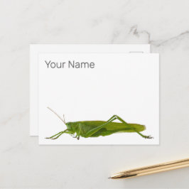 バッタ又は早馬レトロの防虫動物ギフト シーズンポストカード