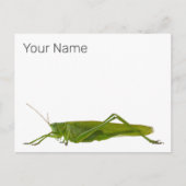 バッタ又は早馬レトロの防虫動物ギフト シーズンポストカード (正面)