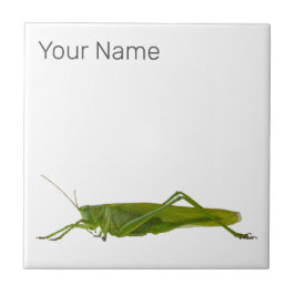 バッタ又は早馬レトロの防虫動物ギフト タイル